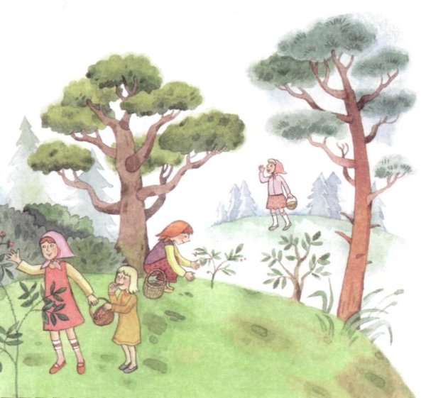 Картинка дети заблудились в лесу