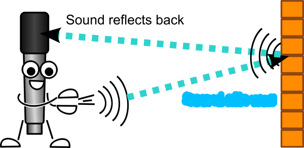 Однократное Эхо