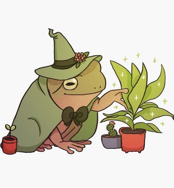 Лягушечка Goblincore