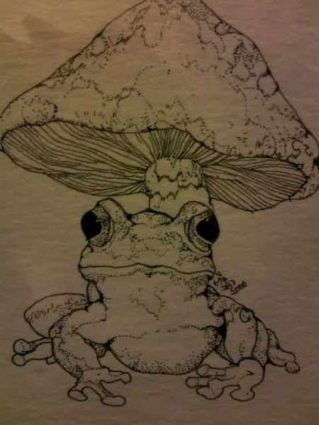 Рисунки лягушек Пинтерест для скетчбука