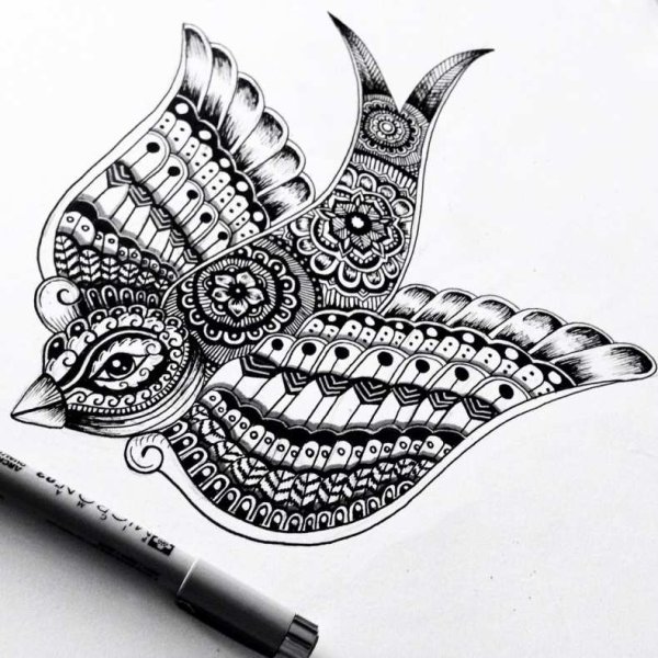 Наутилус Зентангл