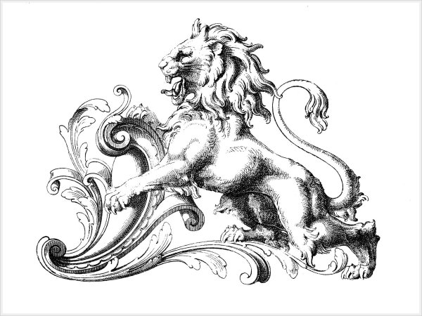 Лев рококо орнамент
