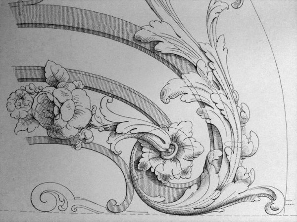 Узоры рококо Акант