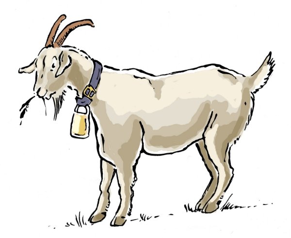 Коза картинка для детей