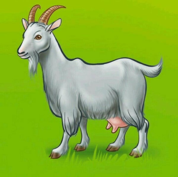 Коза для детей