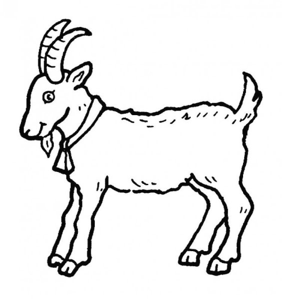 Коза Картун