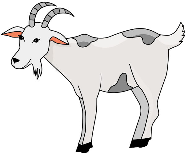 Коза для детей