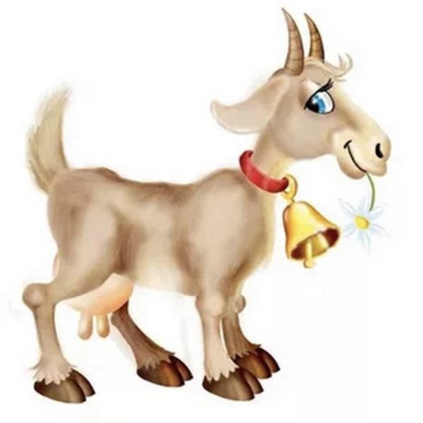 Козел на белом фоне