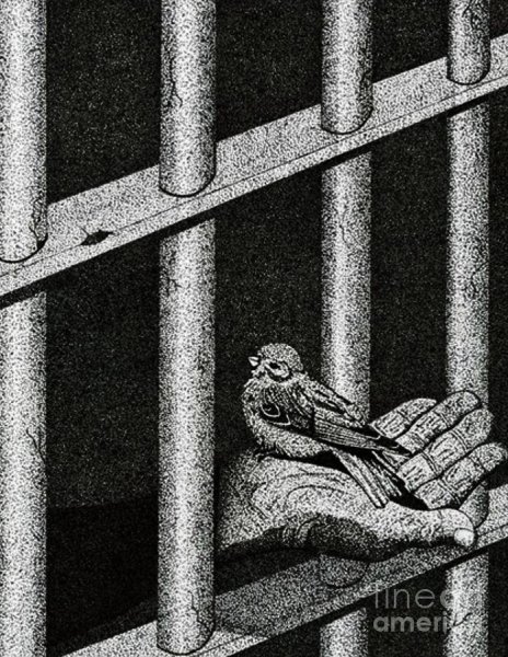 Тюрьма иллюстрация