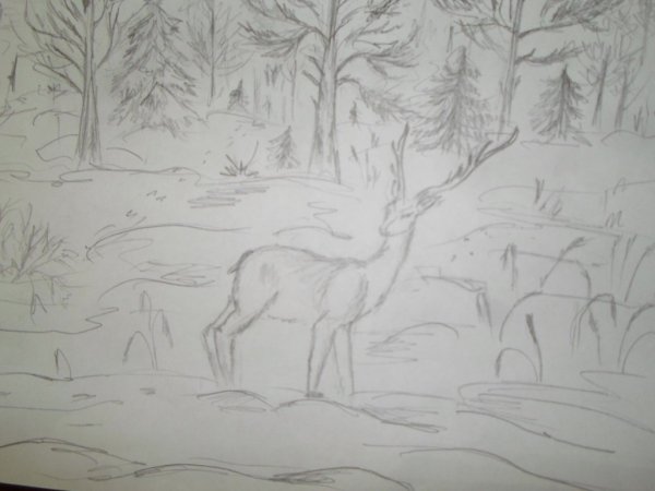 Бунин ельник у дороги