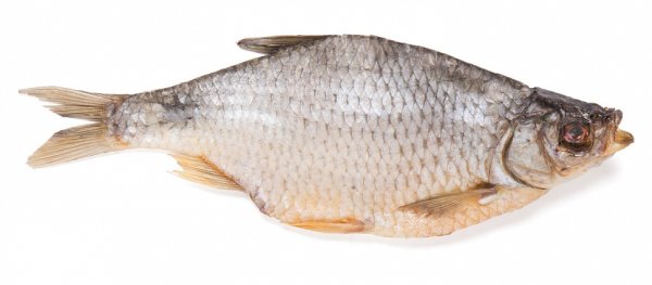 Красноперка вяленая