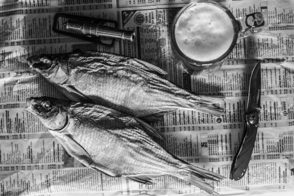 Вобла рисунок