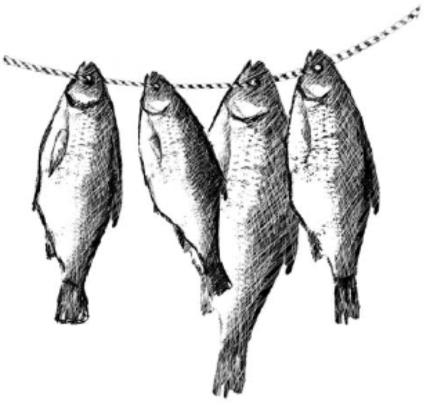 Связка вяленой рыбы