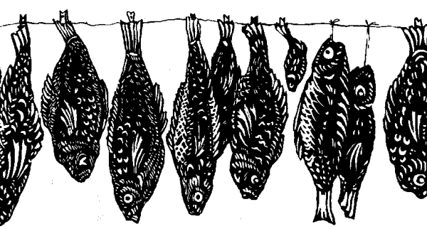 Вяленая вобла иллюстрация Салтыкова Щедрина