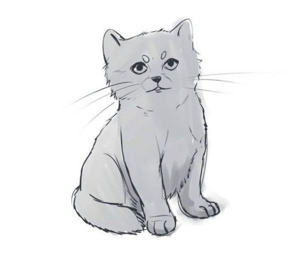 Рисунки для срисовки котики