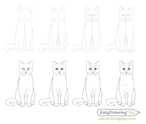 Кошка сидит рисунок