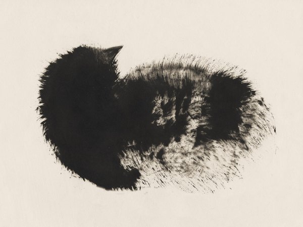 Пятно в графике