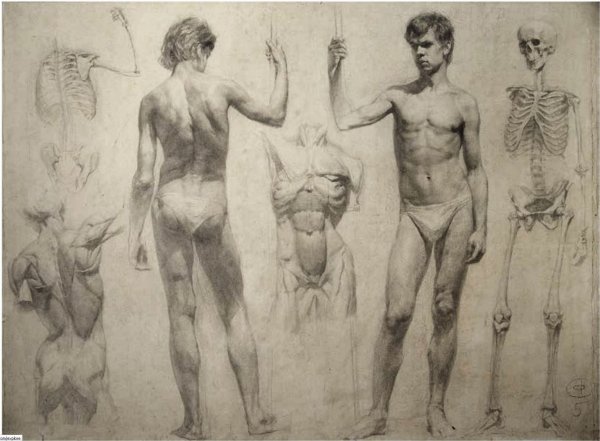 Лосенко штудии