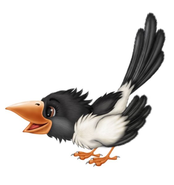 Сорока белобока мультяшная