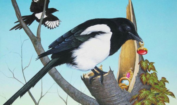 Сорока картинка для детей