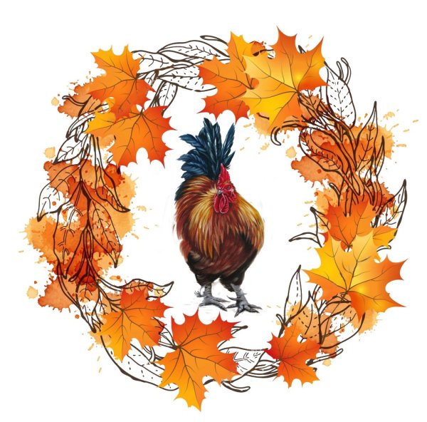Осенний петух