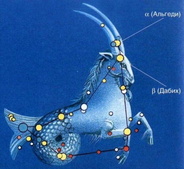 Созвездие козерога Альгеди