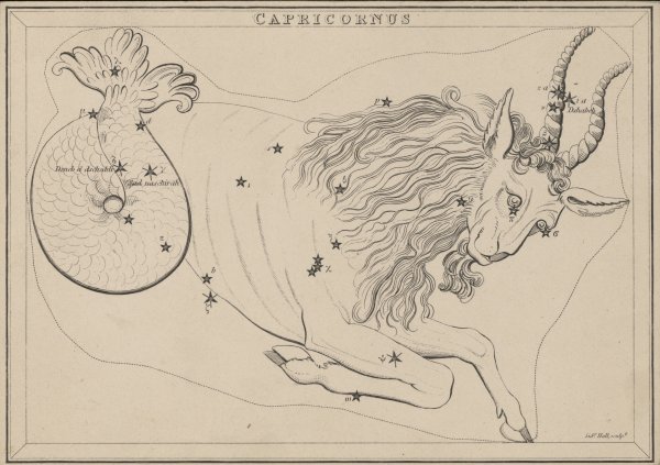 Изображение созвездия козерога
