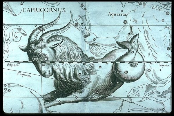 Capricornus гевелий