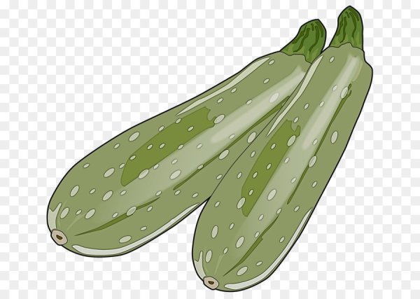 Кабачок мультяшный