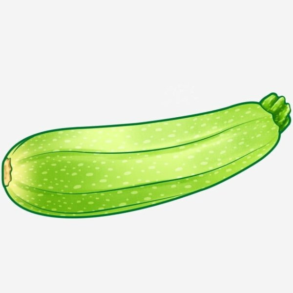 Кабачок на прозрачном фоне