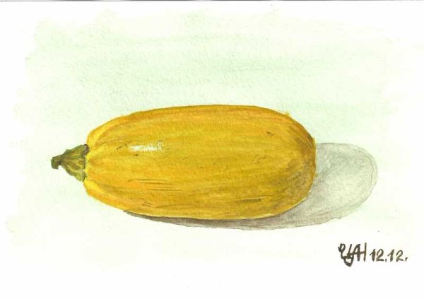 Кабачок клипарт