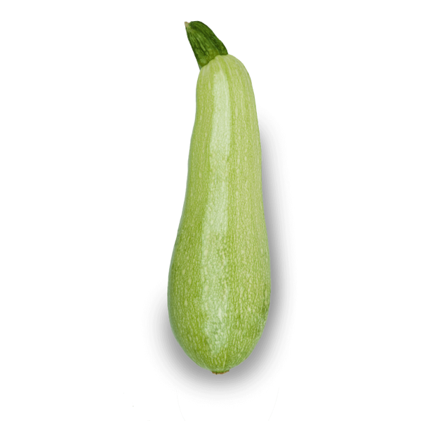 Нарисовать кабачок