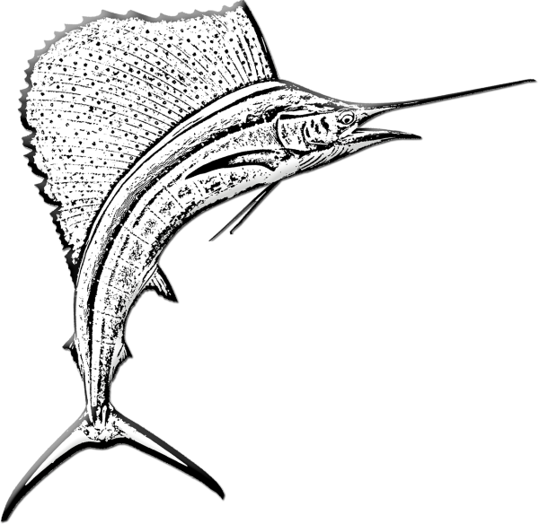 Марлин рыба