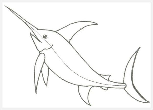 Рыба меч раскраска