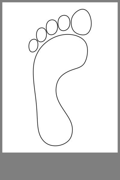 Контур стопы