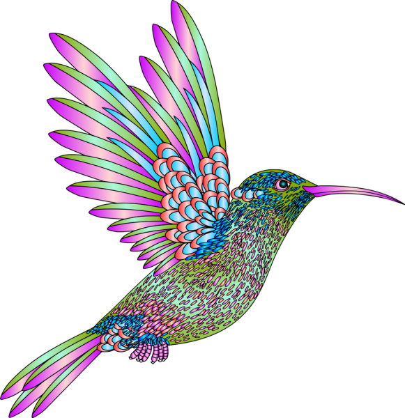 Пуантилизм Колибри