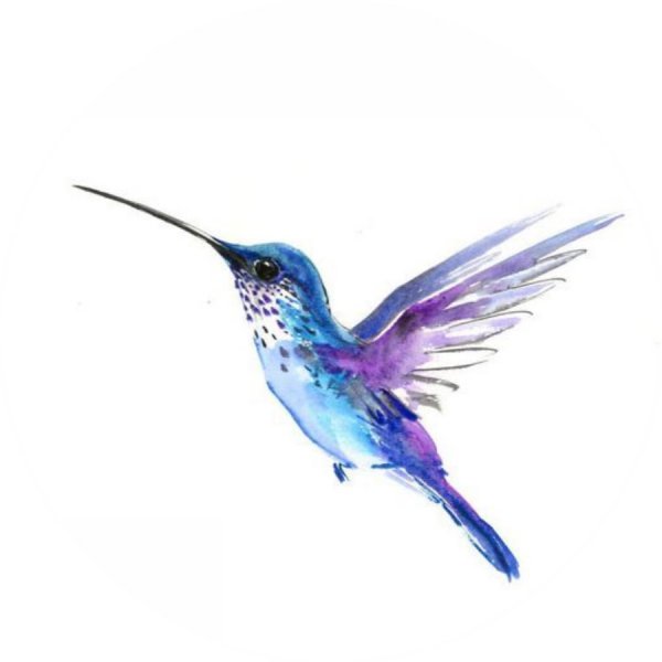 Птица акварель на белом фоне