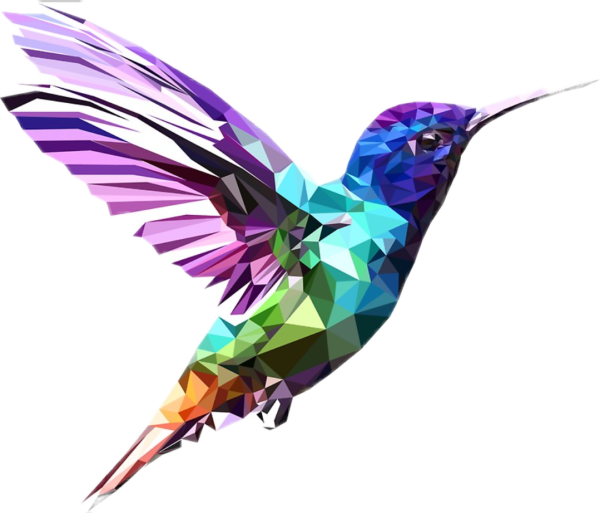 Колибри полигональная