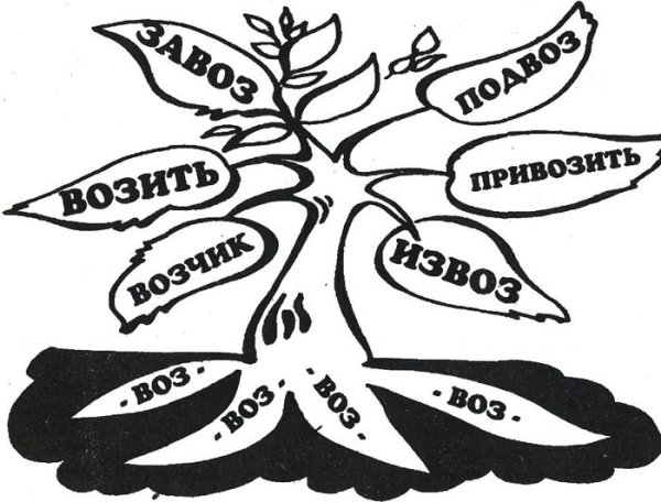 Дере однокореныых слов