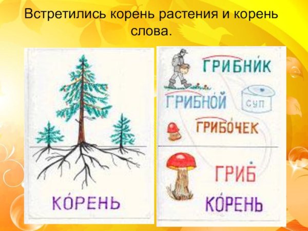 Однокоренные слова картинки 3 класс