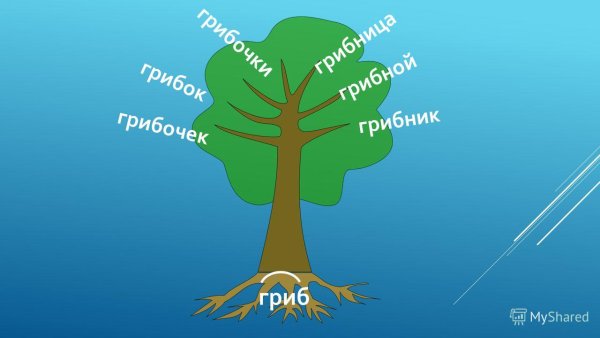 Однокоренное дерево