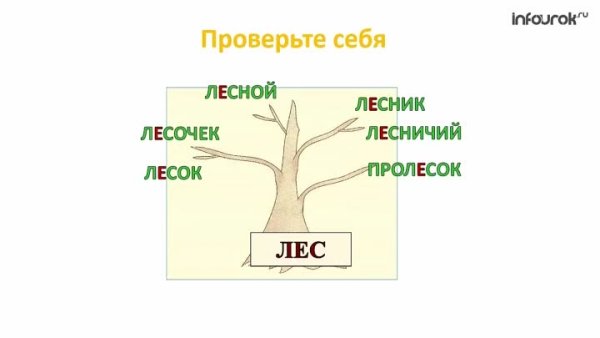 Дерево однокоренных слов 2 класс