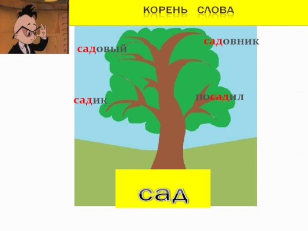 Однокоренное дерево