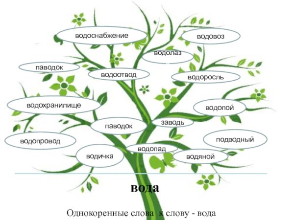 Аднакариные Слава к слову вада