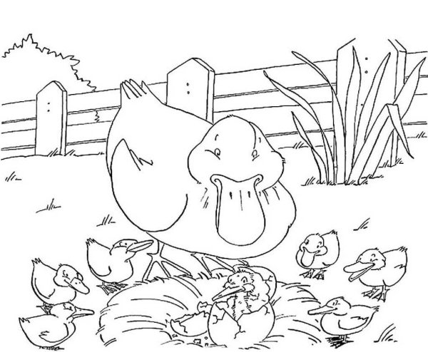 Гадкий утенок Андерсен