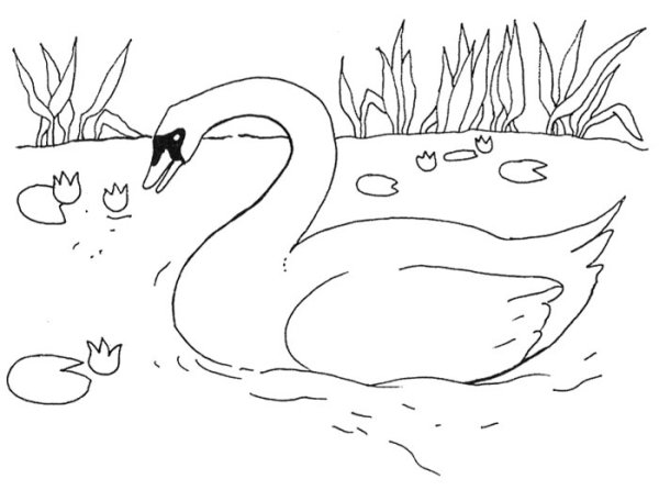 Сказка про гадкого утенка