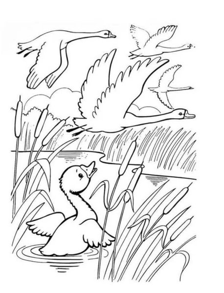 Рис к сказке Гадкий утенок