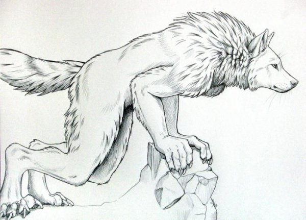 Оборотень карандашом