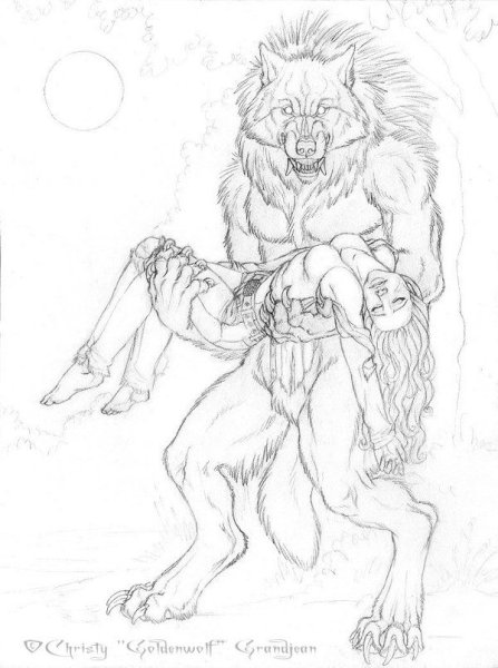 Набросок оборотня