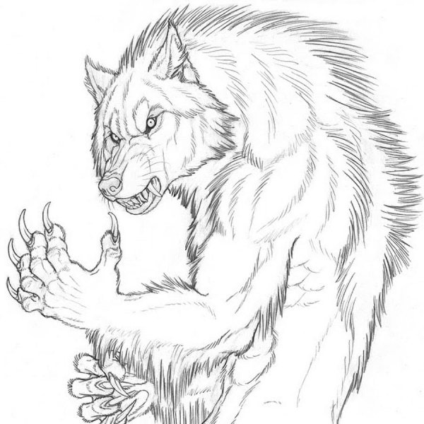 Оборотень карандашом